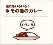 その他のカレー｜他にもいろいろ！｜メインメニュー
