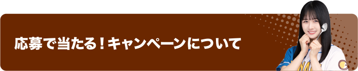 応募で当たる！キャンペーンについて