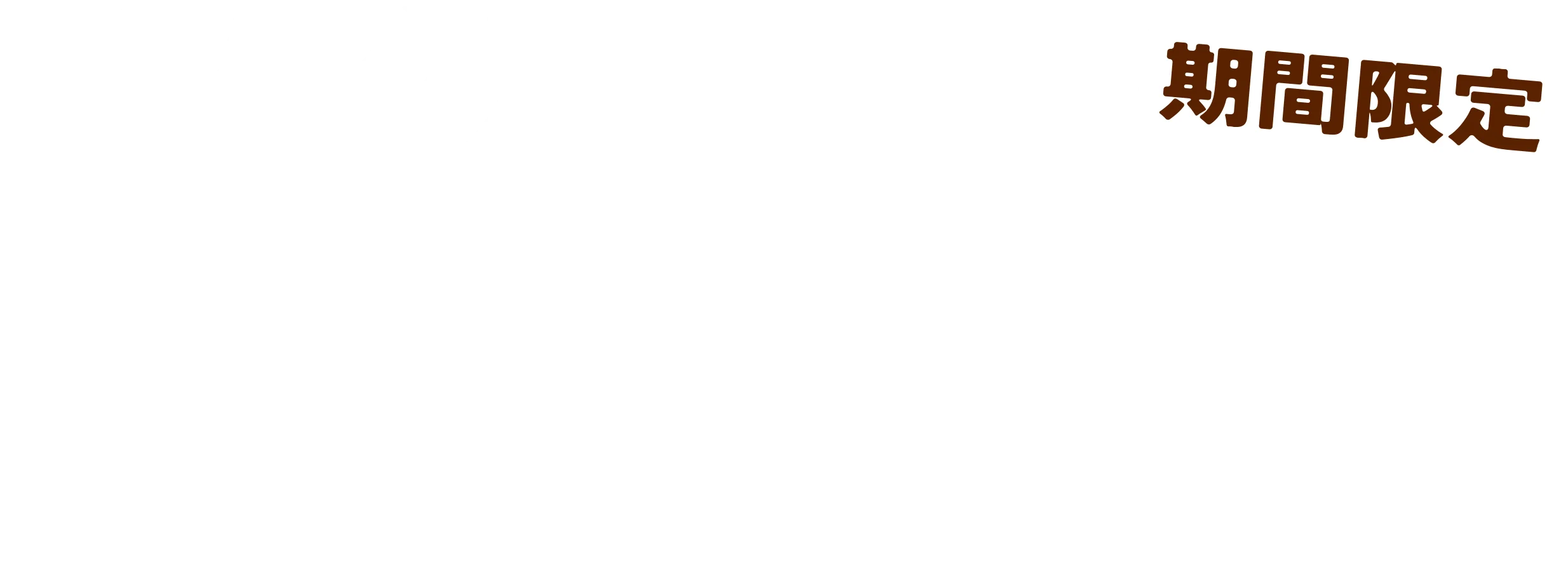 期間限定 手仕込チキンカツカレー 1,100円（税込1,210円）