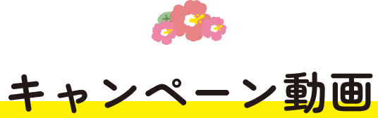 キャンペーン動画