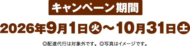 キャンペーン期間