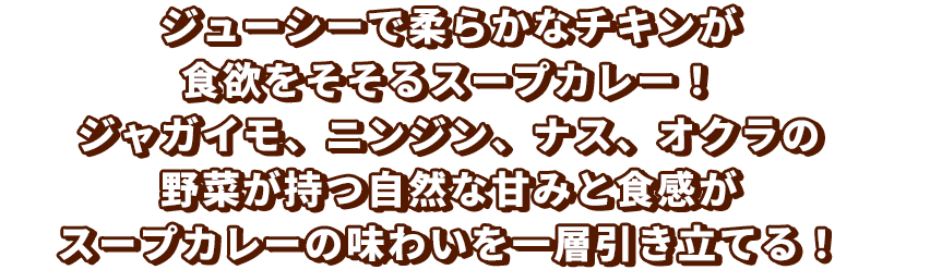 ジューシーで柔らかなチキンが食欲をそそるスープカレー！さらに、ジャガイモ、ニンジン、ナス、オクラの野菜が持つ自然な甘みと食感が、スープカレーの味わいを一層引き立てる！